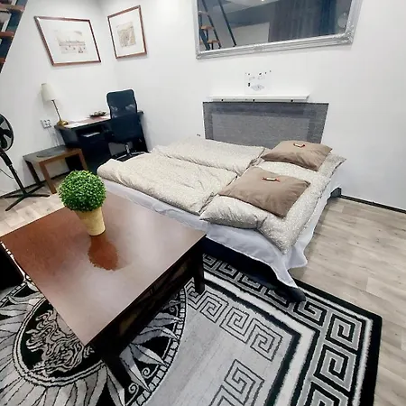Center Terrace Apartment