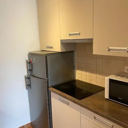 Roland Downtown - Garay Apartman Budapest