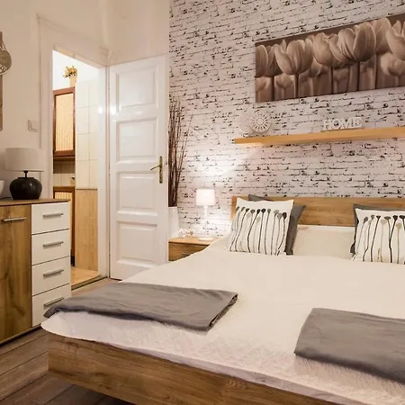 Vintage Style Flat In The Heart Of Buda Apartment *