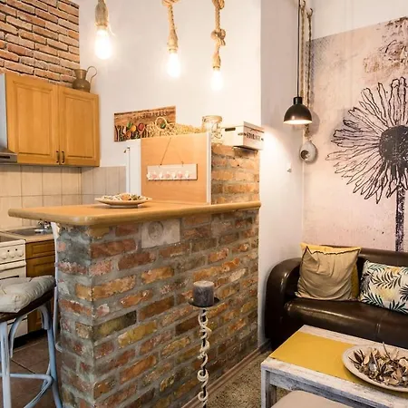 Vintage Style Flat In The Heart Of Buda Apartment