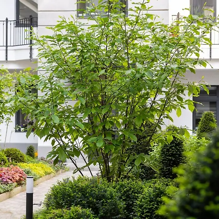 Magnolia Budapest