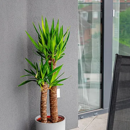 Apartamento Zenit Sunrise Oasis With Terrace & Garage Parking *