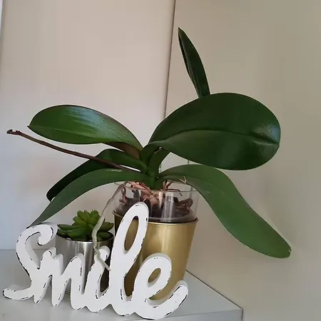 Apartmán Modern Flat With Perfect Location