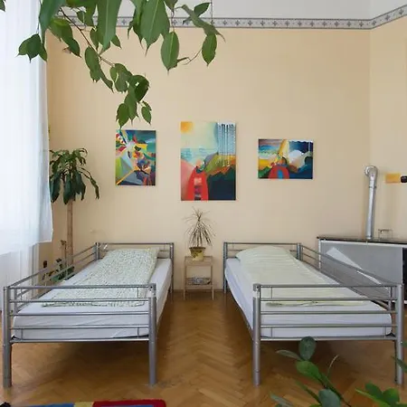Activity Hostal