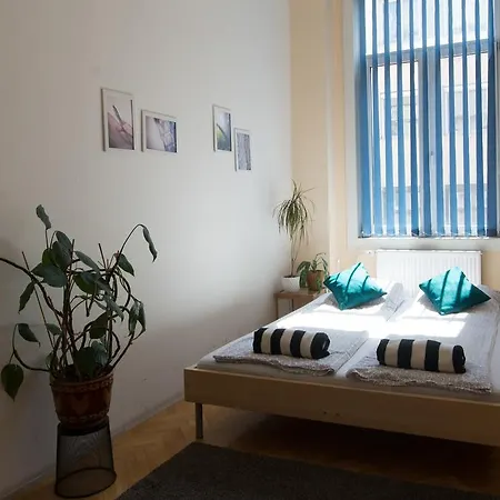 Activity Hostal