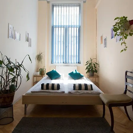 Hostal Activity *