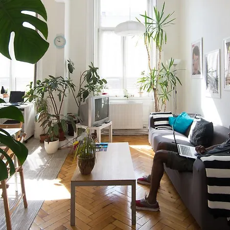 Activity Hostal Budapest