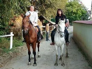 Belle Fleur Panzio