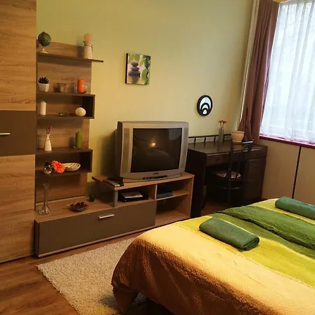 Karpat-garam Apartman Апартаменты *