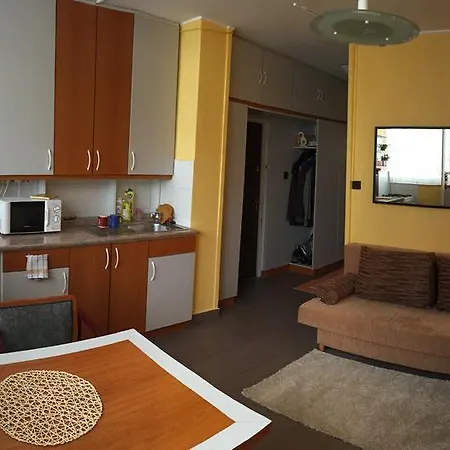 Karpat-garam Apartman Апартаменты *