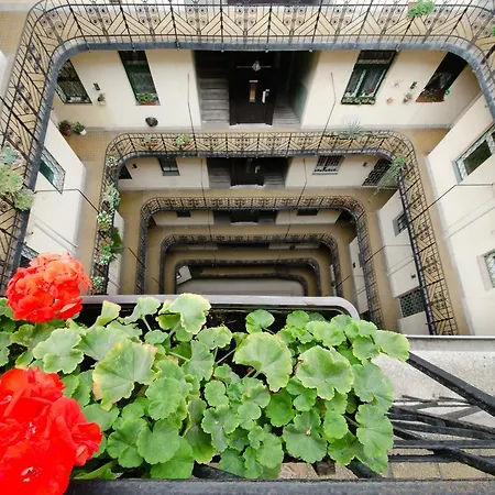 Green Dream Apartment *