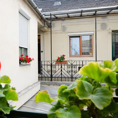 Green Dream Apartment