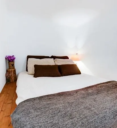 Apartment Rustic Elegance