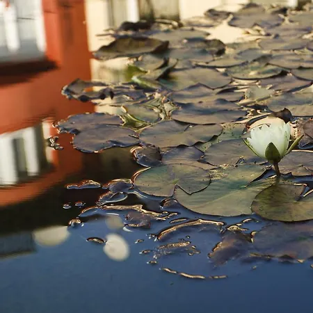 Szőnyi Garden Pest 3* Budapest