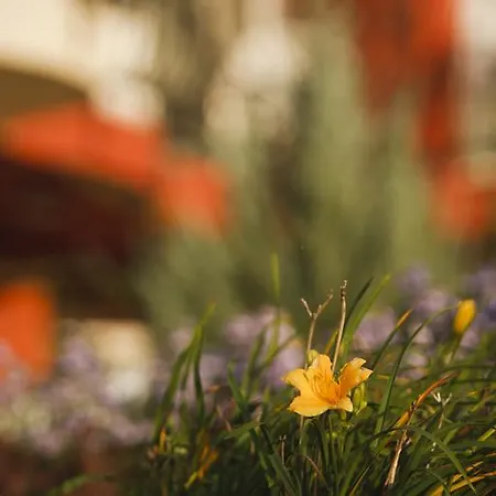 Szőnyi Garden Pest 3* Budapest