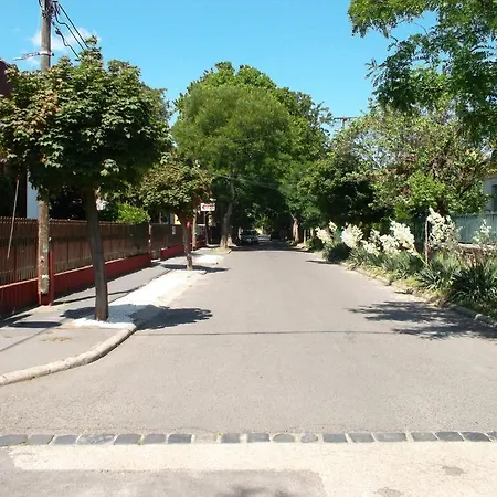 Palota