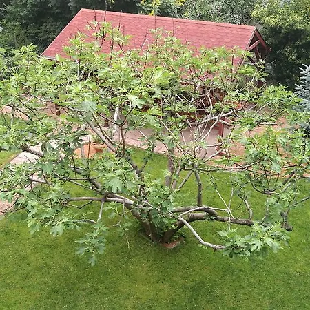 Fig Tree House Vendégház 3*