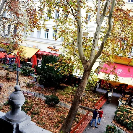 California Budapest