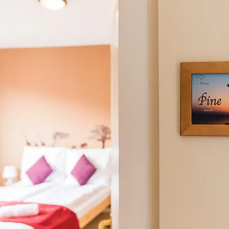 Zen House Hostel