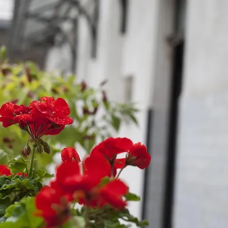 דירה Ariel Close To St. Stephen Basilica *