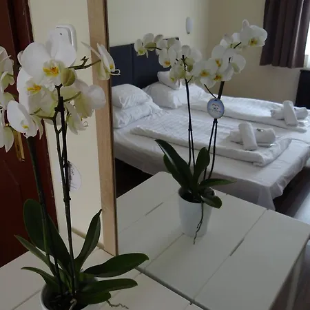 Fortuna And Restaurant Hotell