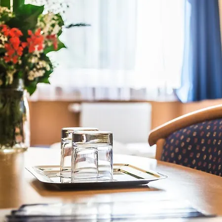 Hotel Jagelló Business 3*