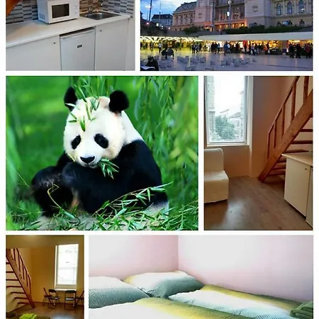 Apartamento Panda