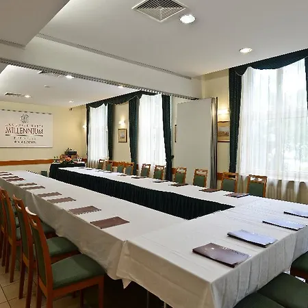 Hotel Millennium 3*