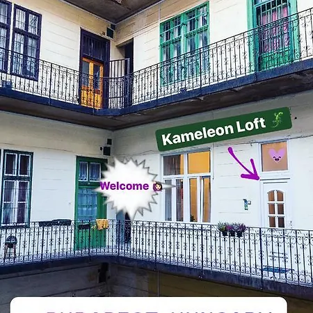 Kameleon Loft Βουδαπέστη