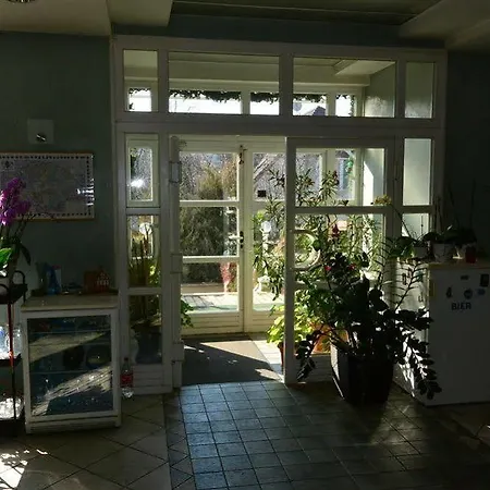 Belle Fleur Panzio