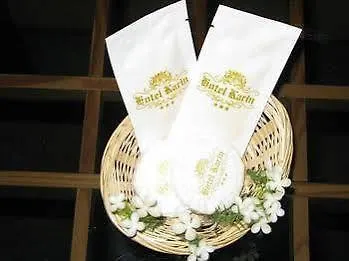 Karin 3* Budapeşte