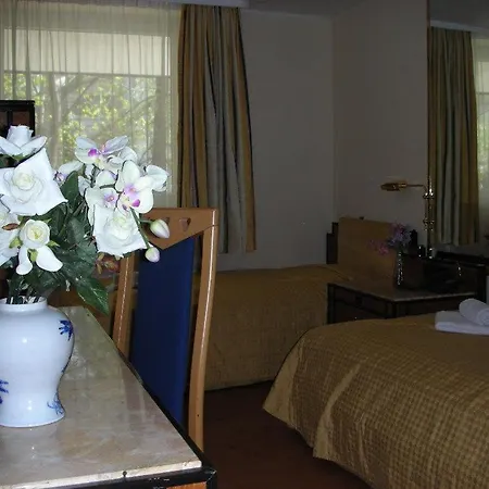 Hotel Panda 3*