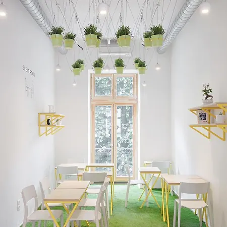 Flow Spaces Budapest