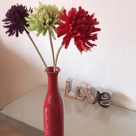 Apartamento Belle *