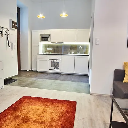 Apartment Design In The Center With Ac *