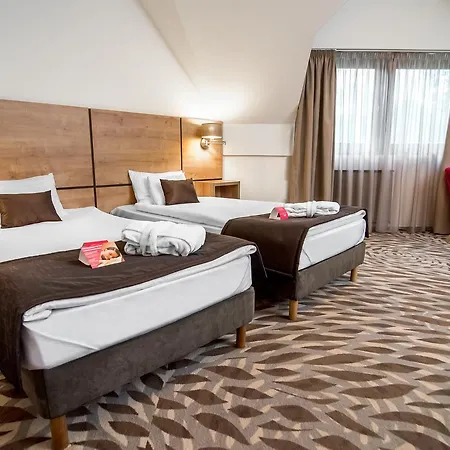 Hotel Rubin Wellness & Conference 4*