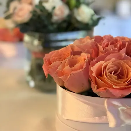 Hotel Rosa Boutique
