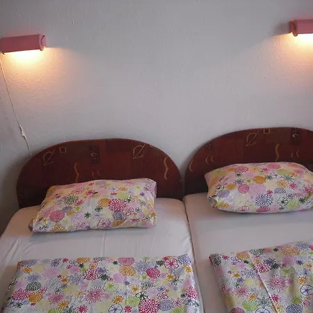 Apartman Young Center *