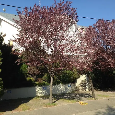Belle Fleur Panzio Bed & Breakfast