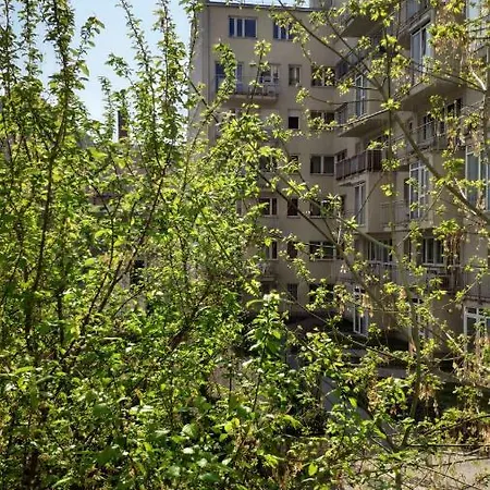 Akacfa Apartman