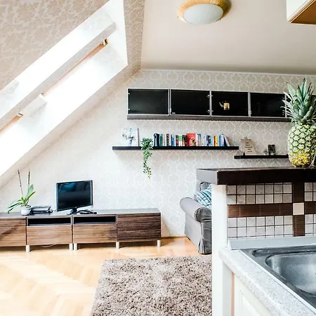 Apartment Hollo - Private Garage - A/c *