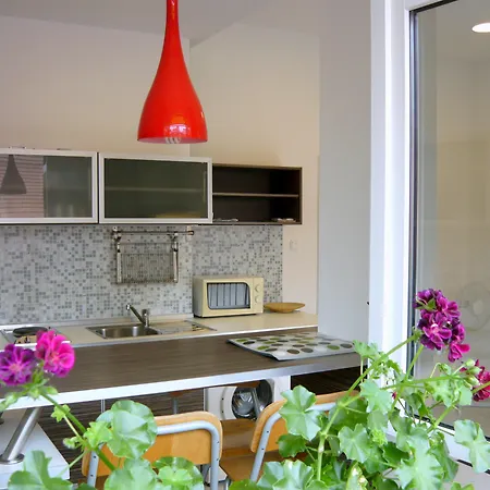 Pet Apartment