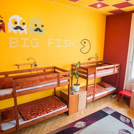 Big Fish Hostel