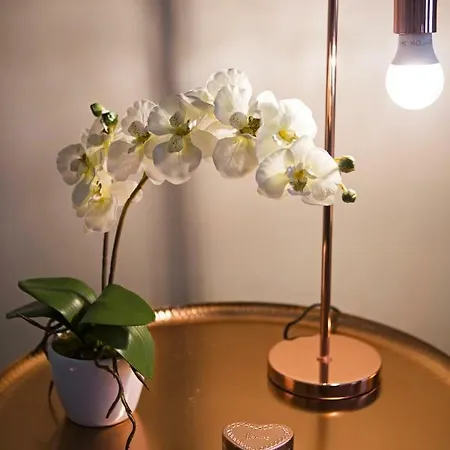 Grand Andrassy Boulevard Apartment *