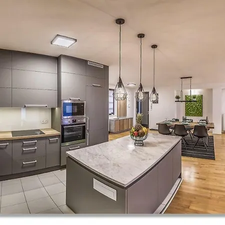 Appartement Grand Loft *