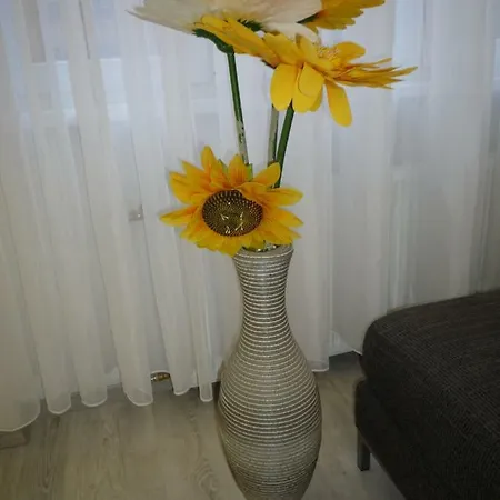 Apartman Downtown Dreams *