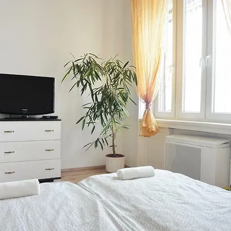 Apartment Free Garage!!! Downtown Near The New York Coffee House