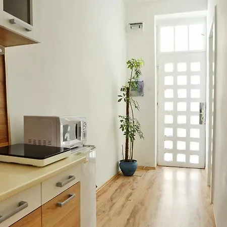 Apartment Free Garage!!! Downtown Near The New York Coffee House