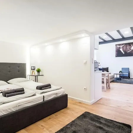 Luxury Loft Apartment