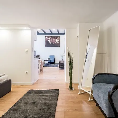 Luxury Loft Apartment